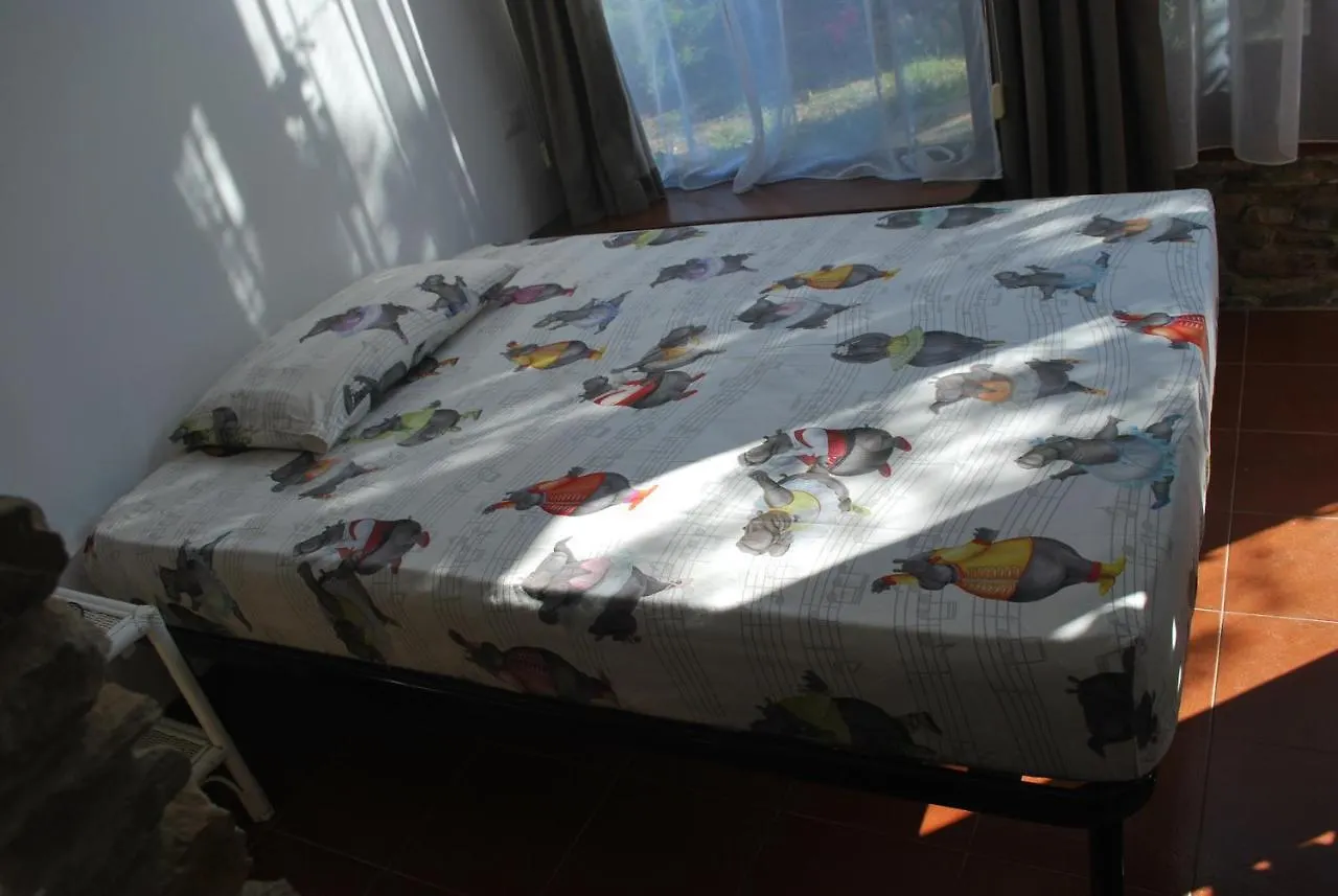 סטינטינו Uno Sguardo Sulla Pelosa 0*,  איטליה